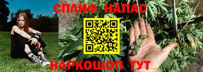 сатива Кингисепп