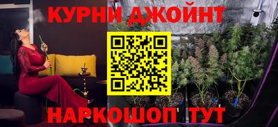 сатива Кингисепп