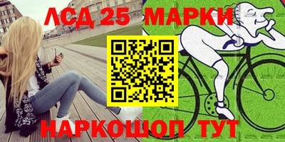 сатива Кингисепп