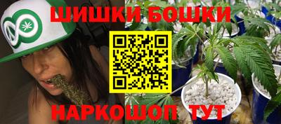 сатива Кингисепп