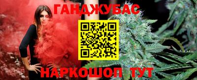 сатива Кингисепп