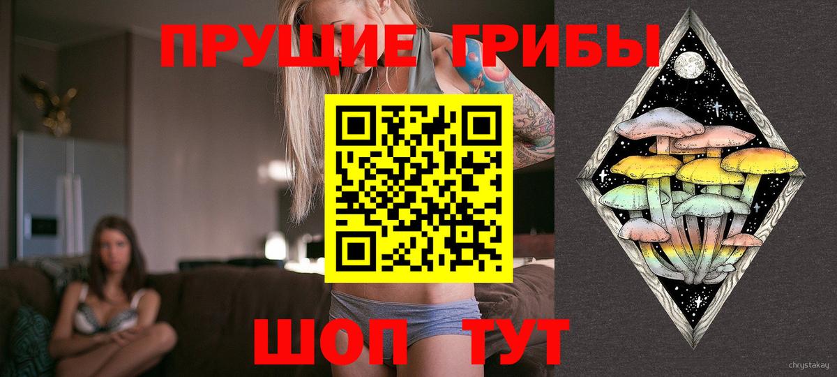 Псилоцибиновые грибы Magic Shrooms Кувандык