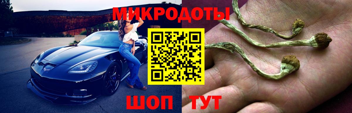 Галлюциногенные грибы Magic Shrooms  Вход с VPN  Кувандык 